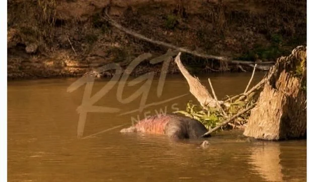 Rio na região norte de Mato Grosso